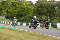 Lower Group Black Bikes
